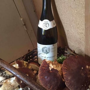 Cornas "Chaillot" 2009