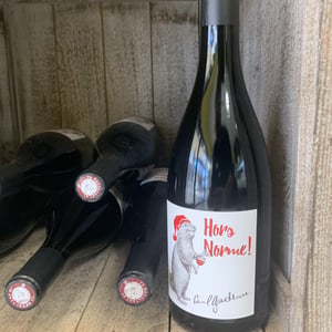 Hors Norme! - Domaine Paul Gadenne - paul-gadenne