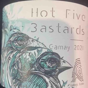 Hot Five Bastards 2021 - Domaine Ludovic Archer - Ludovic Archer 