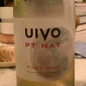 Uivo PT NAT Pinot Noir - Folias de Baco - tiago-sampaio