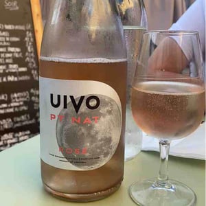Uivo PT NAT Pinot Noir - Folias de Baco - Tiago Sampaio 