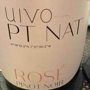 Uivo PT NAT Rosé - Folias de Baco - Tiago Sampaio 