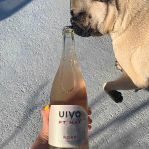Uivo PT NAT Rosé - Folias de Baco - Tiago Sampaio 