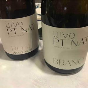 Folias de Baco - Tiago Sampaio - Uivo PT NAT Rosé