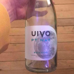 Folias de Baco - Tiago Sampaio - Uivo PT Nat Branco