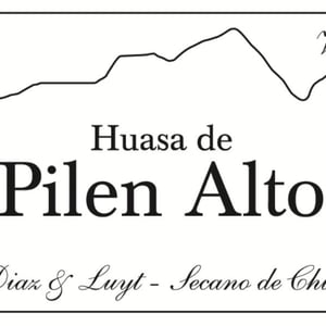 Huasa de Pilen Alto - Agricola Luyt - Louis-Antoine Luyt 