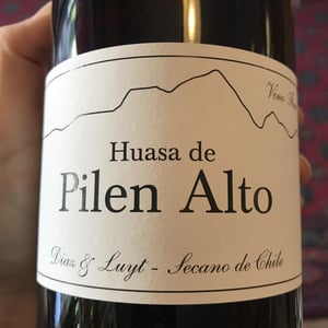 Huasa de Pilen Alto - Agricola Luyt - louis-antoine-luyt