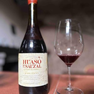 Huaso de Sauzal Cariñena - Bodegas El Viejo Almacen de Sauzal - renan-cancino