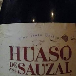 Huaso de Sauzal Cariñena - Bodegas El Viejo Almacen de Sauzal - Renán Cancino 