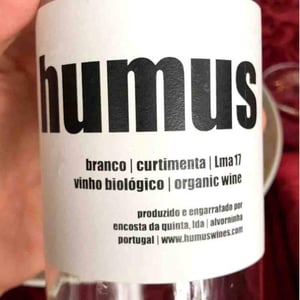 Humus 2017