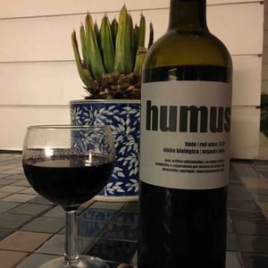 Humus Balbúrdia - Quinta do Paço (Humus) - rodrigo-filipe