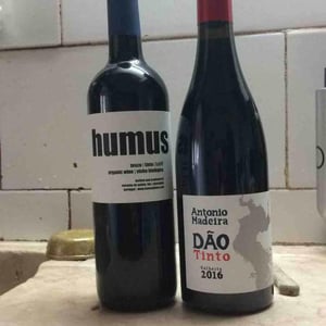 Humus 2017