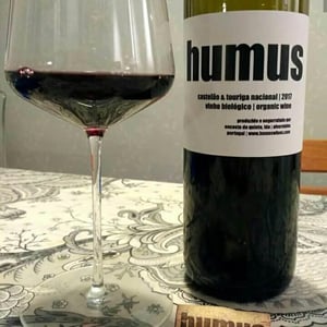 Quinta do Paço (Humus) - Rodrigo Filipe - Humus Balbúrdia