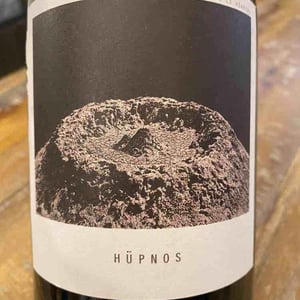 Hüpnos - Sous Le Vegetal - Patrick Bouju & Jason Ligas 