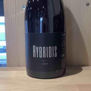 Hybridis - Sadon Huguet - Bénédicte et Mathieu Huguet -2019