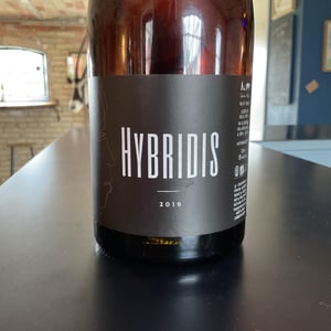Hybridis - Sadon Huguet - benedicte-et-mathieu-huguet -2019