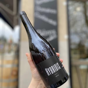 Hybridis - Sadon Huguet - benedicte-et-mathieu-huguet -2019