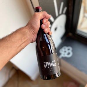 Hybridis - Sadon Huguet - Bénédicte et Mathieu Huguet -2019