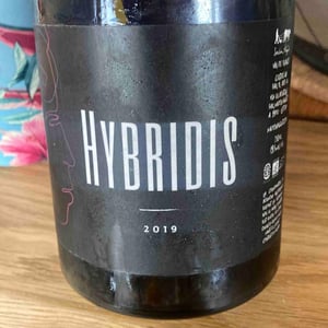 Hybridis - Sadon Huguet - Bénédicte et Mathieu Huguet -2019