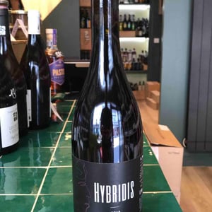 Hybridis - Sadon Huguet - benedicte-et-mathieu-huguet -2019