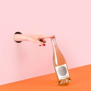 Hypnotic - Domaine Frédéric Mabileau - Rémy Mabileau -2021
