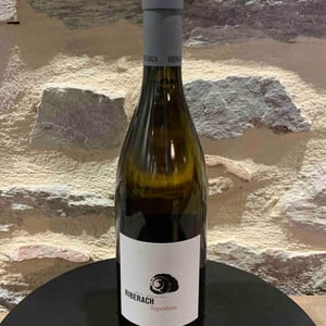 Hypothèse Blanc - Domaine Riberach - guilhem-soulignac-j-m-mailloles-patrick-rodrigues-luc-richard