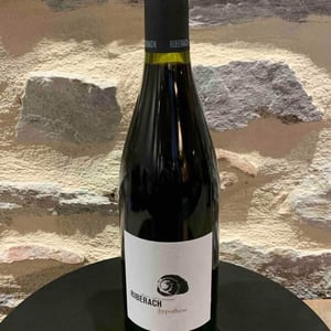 Hypothèse Rouge - Domaine Riberach - guilhem-soulignac-j-m-mailloles-patrick-rodrigues-luc-richard