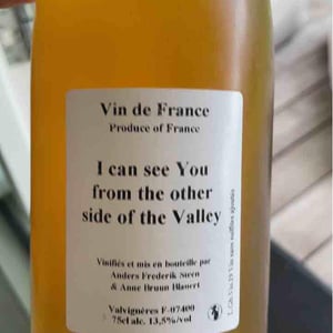 I can see You from the other side of the Valley - Anders Frederik Steen & Anne Bruun Blauert - Anders Frederik Steen & Anne Bruun Blauert 