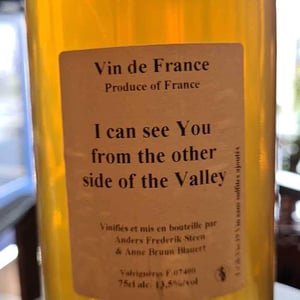 I can see You from the other side of the Valley - Anders Frederik Steen & Anne Bruun Blauert - Anders Frederik Steen & Anne Bruun Blauert 
