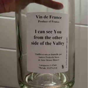 I can see You from the other side of the Valley - Anders Frederik Steen & Anne Bruun Blauert - Anders Frederik Steen & Anne Bruun Blauert 
