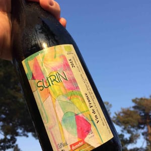Domaine de Pontcher - Bruno Allion & Jean-Philippe Louis (RETIRED) - Surin
