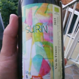 Domaine de Pontcher - Bruno Allion & Jean-Philippe Louis (RETIRED) - Surin