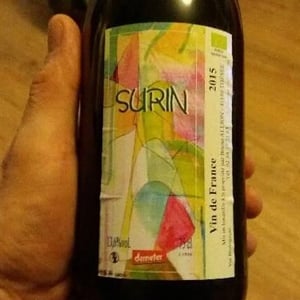 Domaine de Pontcher - Bruno Allion & Jean-Philippe Louis (RETIRED) - Surin