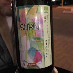 Surin - Domaine de Pontcher - bruno-allion-jean-philippe-louis-retired