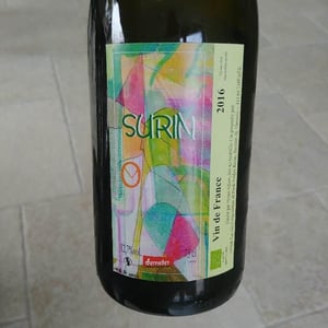 Surin - Domaine de Pontcher - bruno-allion-jean-philippe-louis-retired