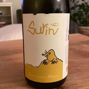 Surin - Domaine La Taupe - nicole-messer-bertjan-mol