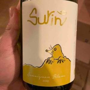 Surin - Domaine La Taupe - Nicole Messer & Bertjan Mol 