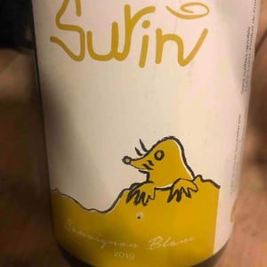 Surin - Domaine La Taupe - Nicole Messer & Bertjan Mol 