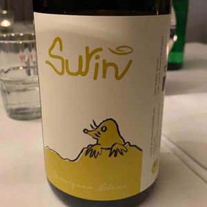 Surin - Domaine La Taupe - Nicole Messer & Bertjan Mol 
