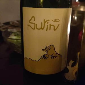 Domaine La Taupe - Nicole Messer & Bertjan Mol - Surin