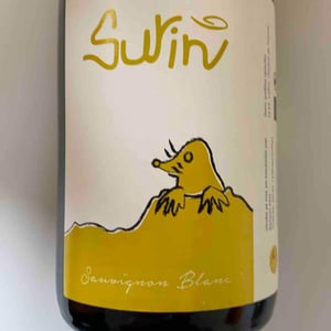 Domaine La Taupe - Nicole Messer & Bertjan Mol - Surin