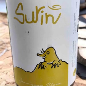 Surin - Domaine La Taupe - Nicole Messer & Bertjan Mol