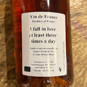 I Fall In Love At Least Three Times A Day - Anders Frederik Steen & Anne Bruun Blauert - Anders Frederik Steen & Anne Bruun Blauert -2020