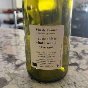 I Guess This Is What I Would Have Said - Anders Frederik Steen & Anne Bruun Blauert - anders-frederik-steen-anne-bruun-blauert