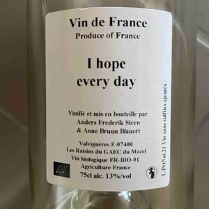 I Hope Everyday - Anders Frederik Steen & Anne Bruun Blauert - Anders Frederik Steen & Anne Bruun Blauert 
