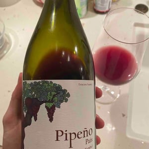 Pipeño - Agricola Estación Yumbel - Mauricio Gonzalez Carreño 