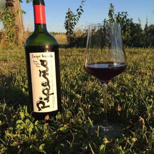 Pipeño 2015