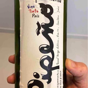 Cacique Maravilla - Manuel Moraga - Pipeño
