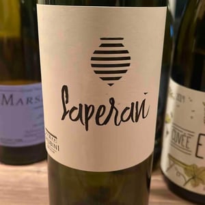 Saperavi Qvevri - Vellino Wines - Beka Jimsheladze 