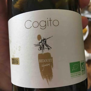 Cogito - Bedouet Vigneron - bedouet